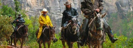 Grand Canyon Mule Rides North Rim