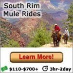 South Rim Mule Rides
