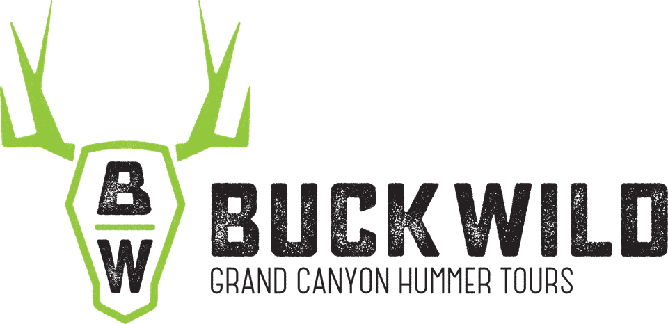 Booking Logo