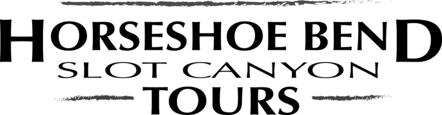 Booking Logo