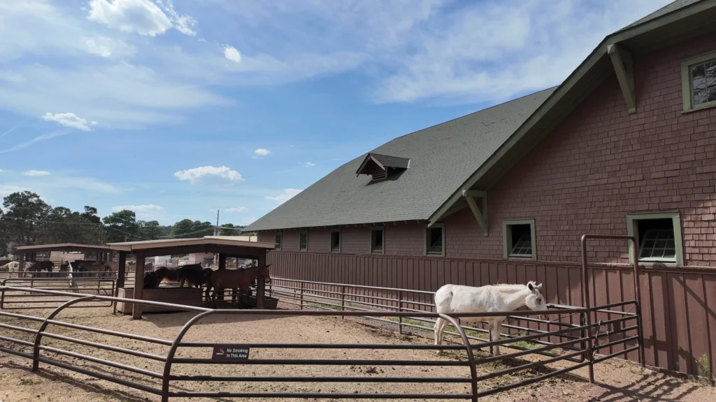 Mule Barn#3 Mule Barn#3