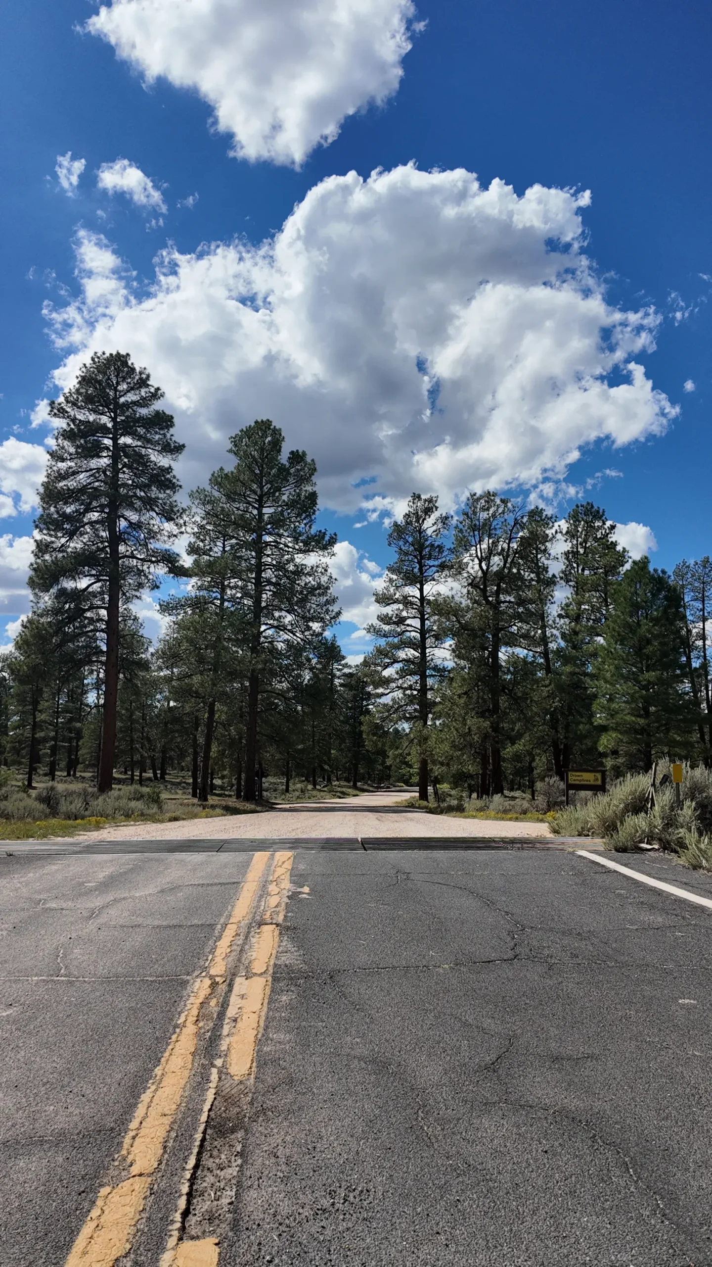 Long Jim Loop Camping