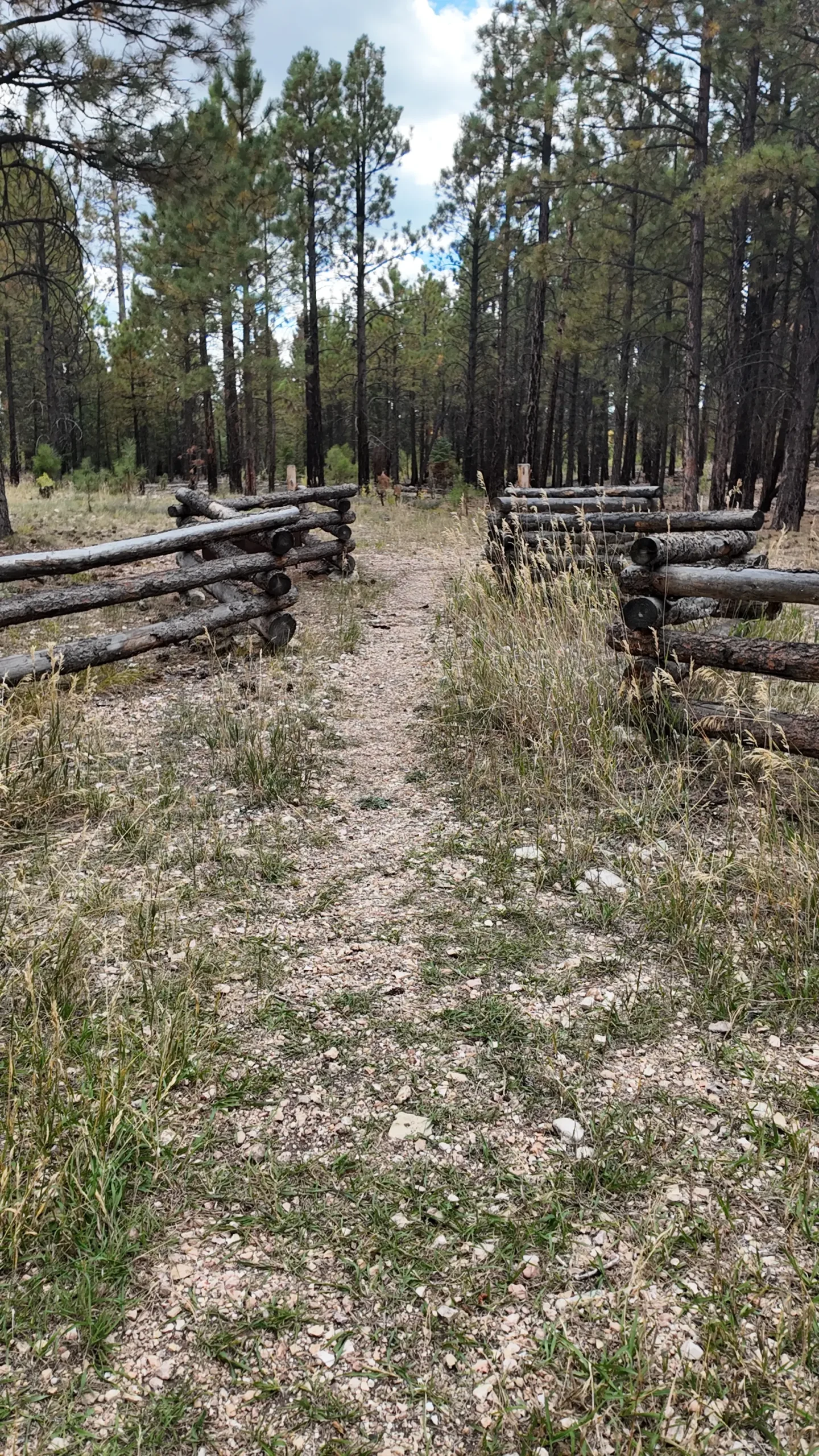 Arizona Trail Murray Lake Trailhead