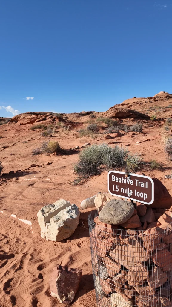 Beehive Trail#4