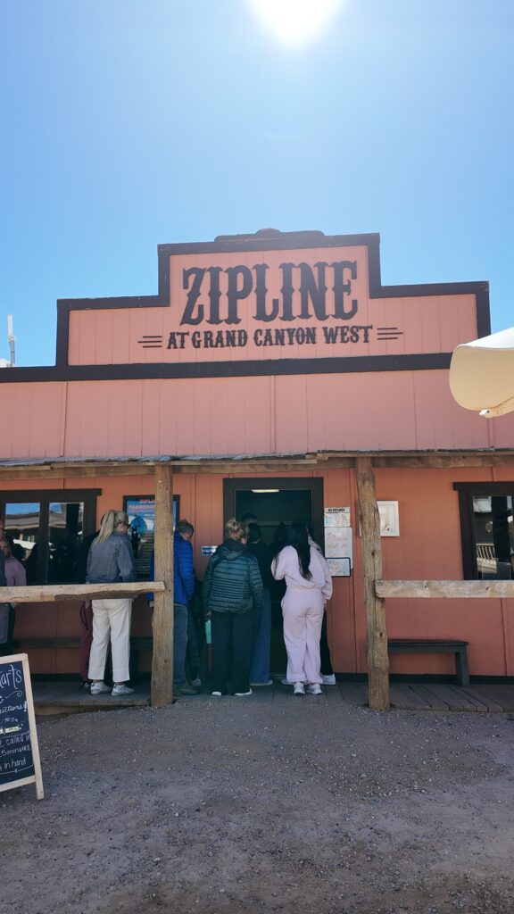 Zipline#5