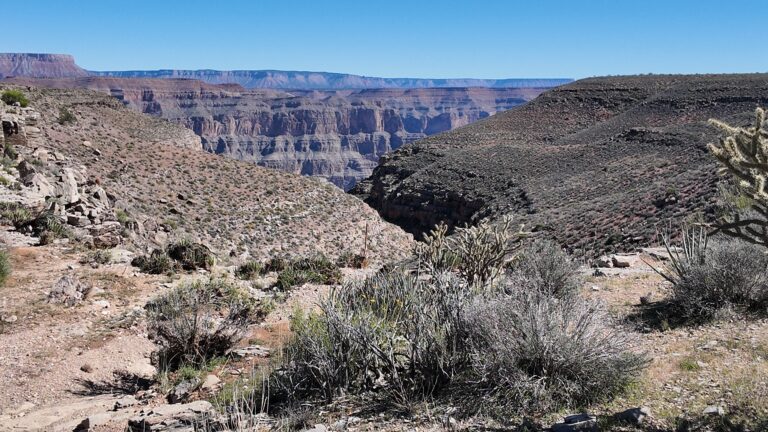 Short Hike Trail