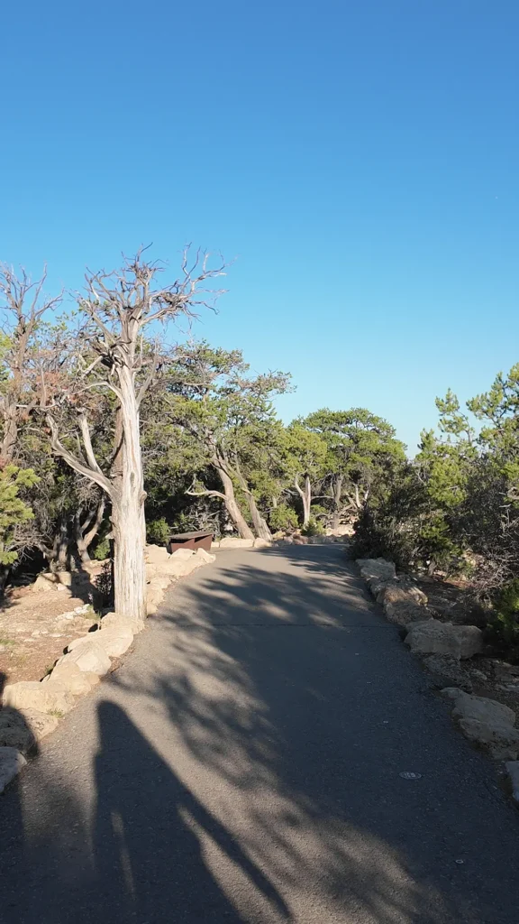 South Rim Trail#1