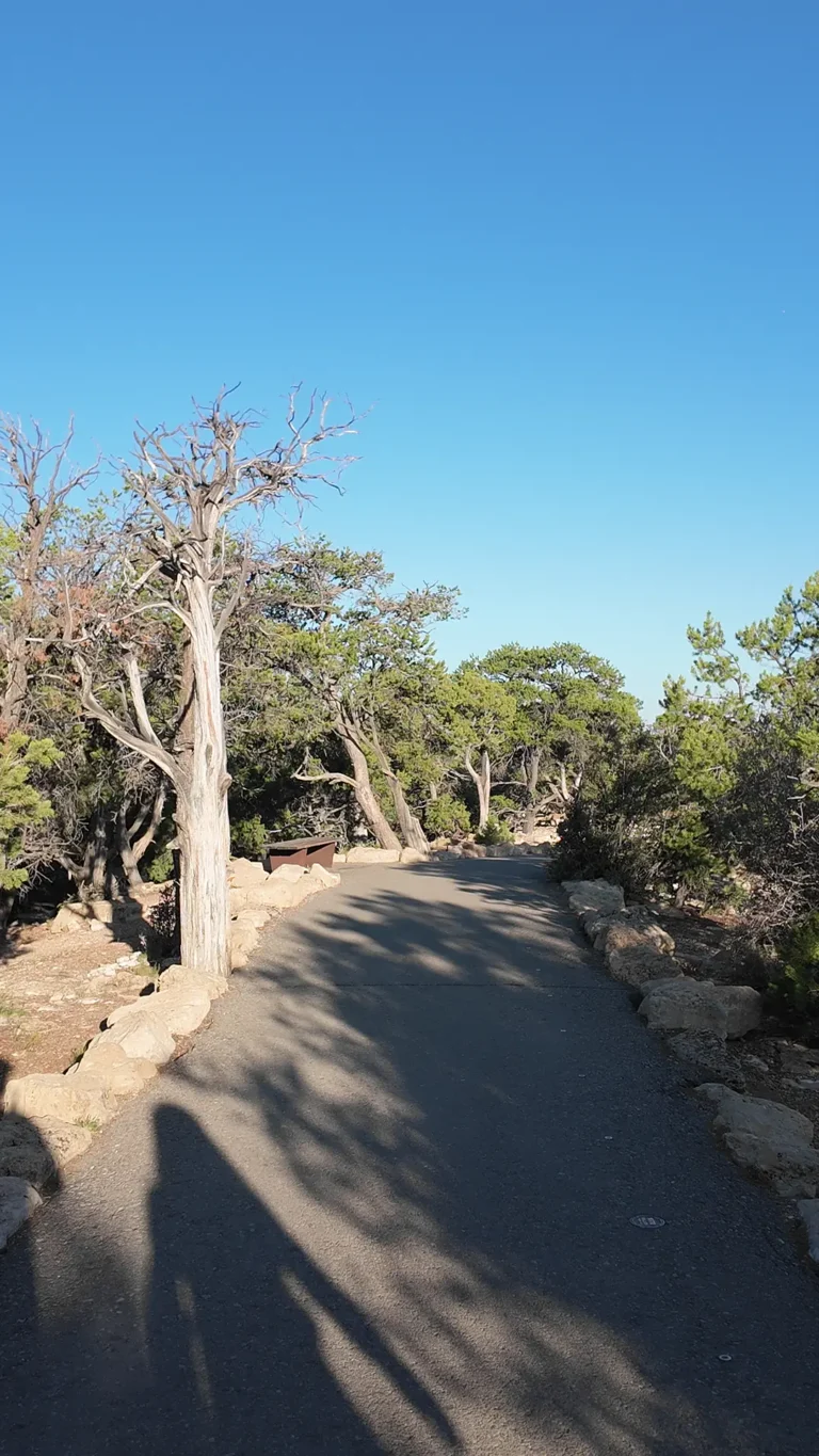 South Rim Trail