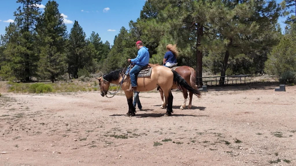 Apache Stables#4