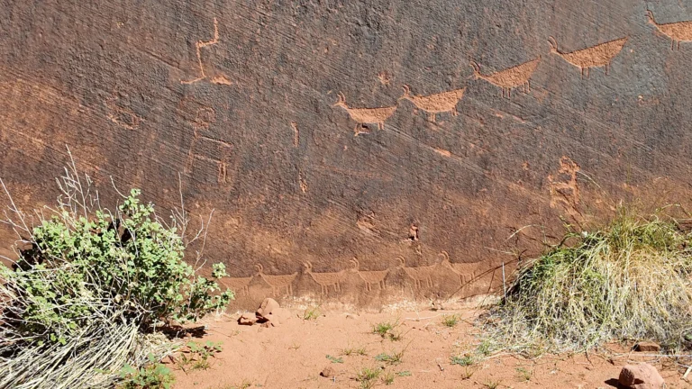 Petroglyphs (Descending Sheep Petroglyph Panel)