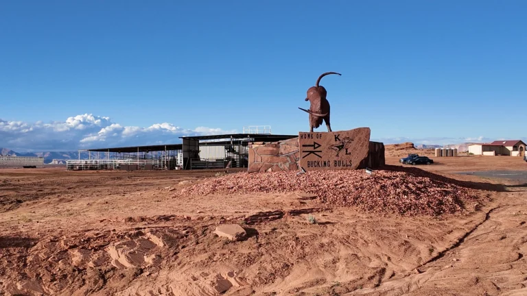 Kenny Young’s Bullriding Arena