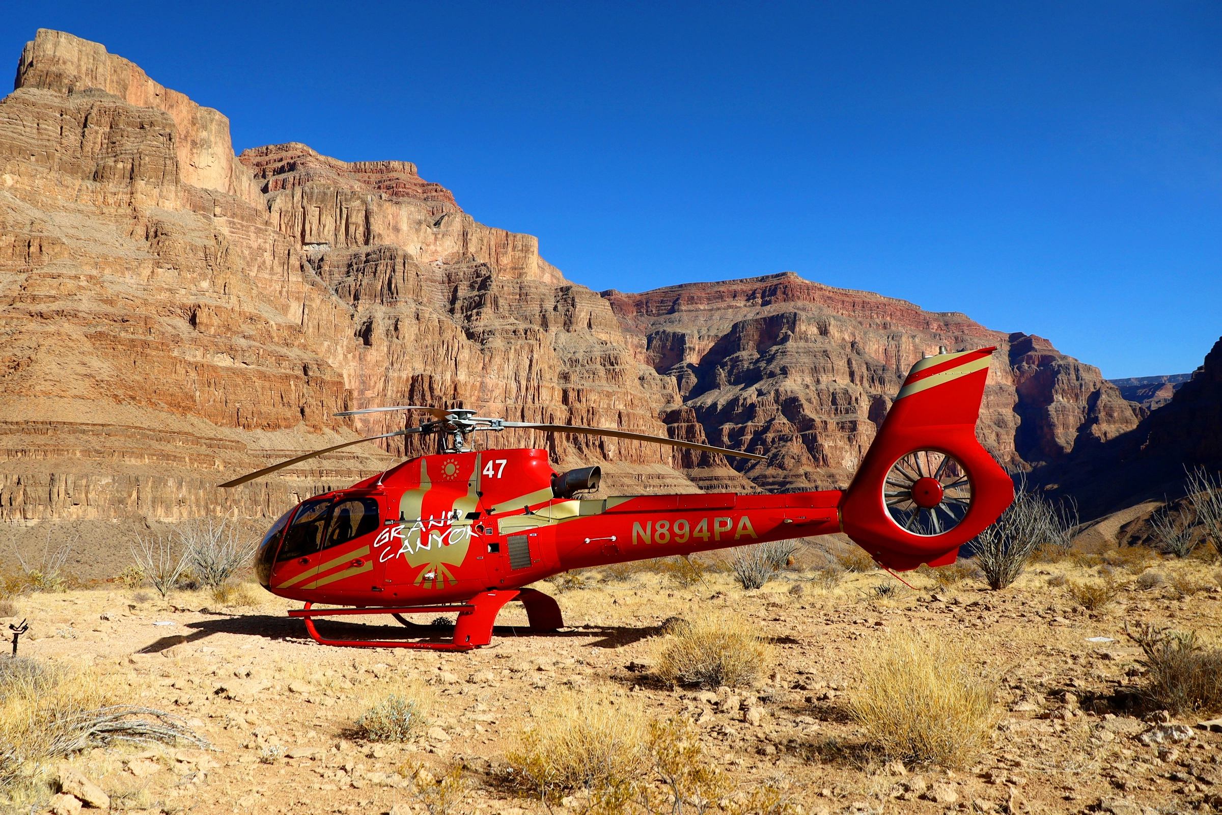 All Access Pass Flight of the Condor | GrandCanyon.com