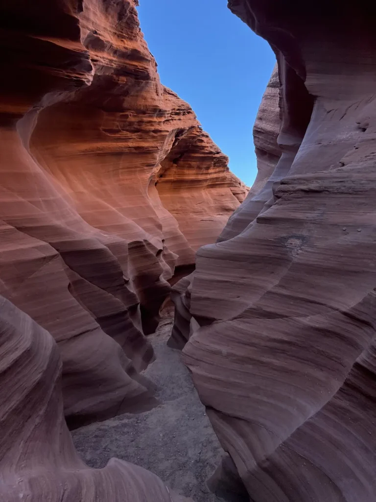 Mountain Sheep Canyon