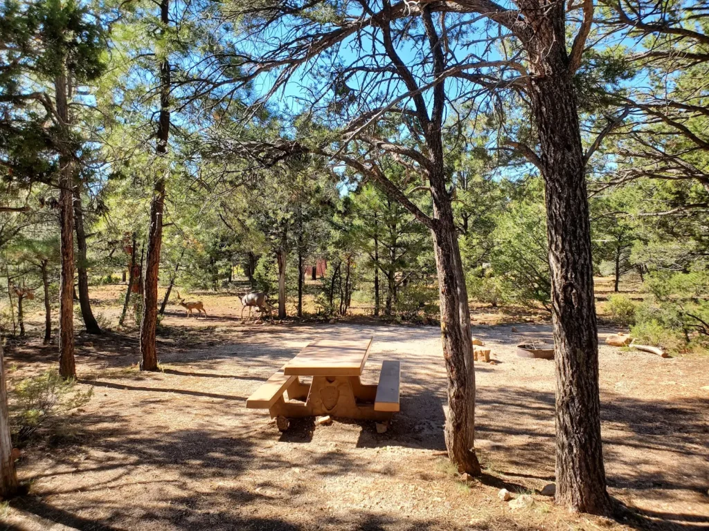 Campground Bathroom (Mather Campground)#2