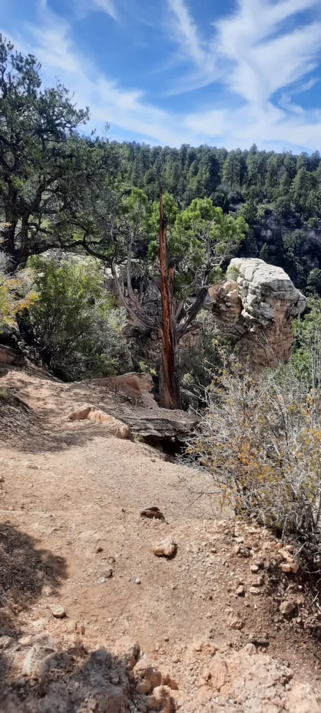 Tanner Trailhead#2