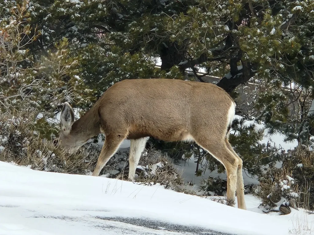 Tanner Trailhead#3
