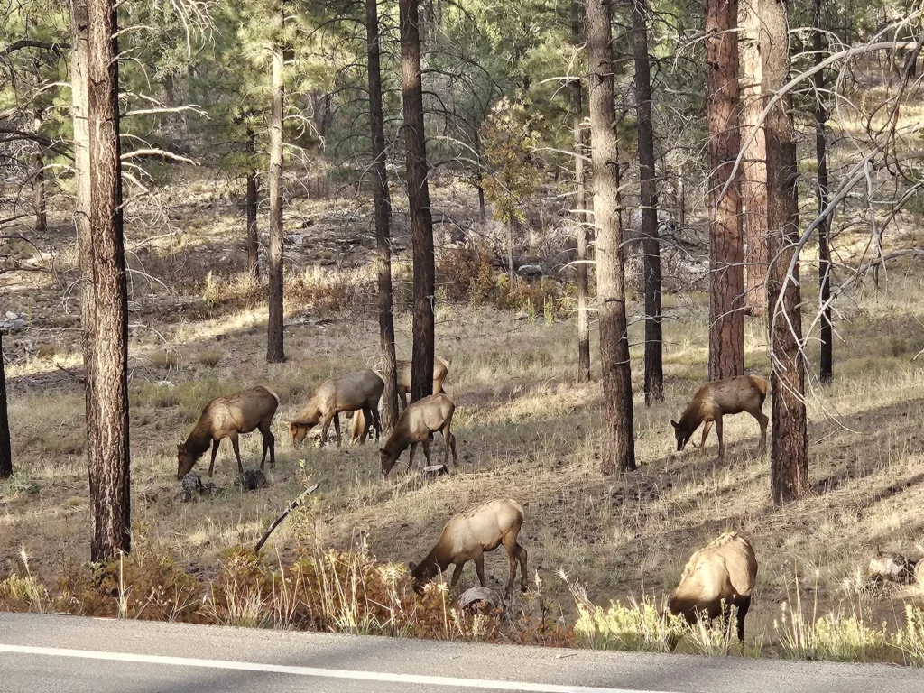 National Park Headquarters#8