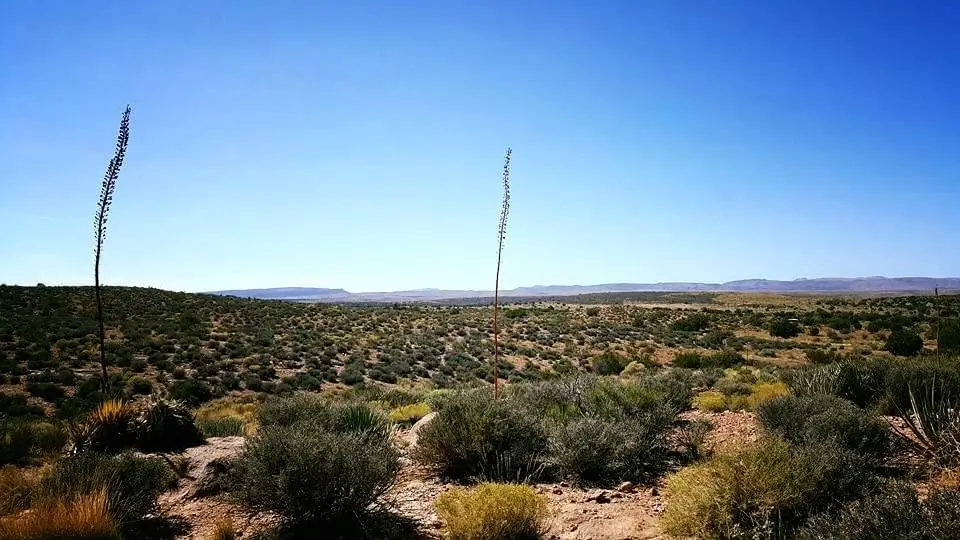 Hualapai Station 3 – Grand Canyon West#9 Hualapai Station 3 – Grand Canyon West#9